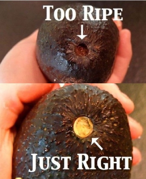 how-to-tell-if-an-avocado-is-ripe-002-500x279